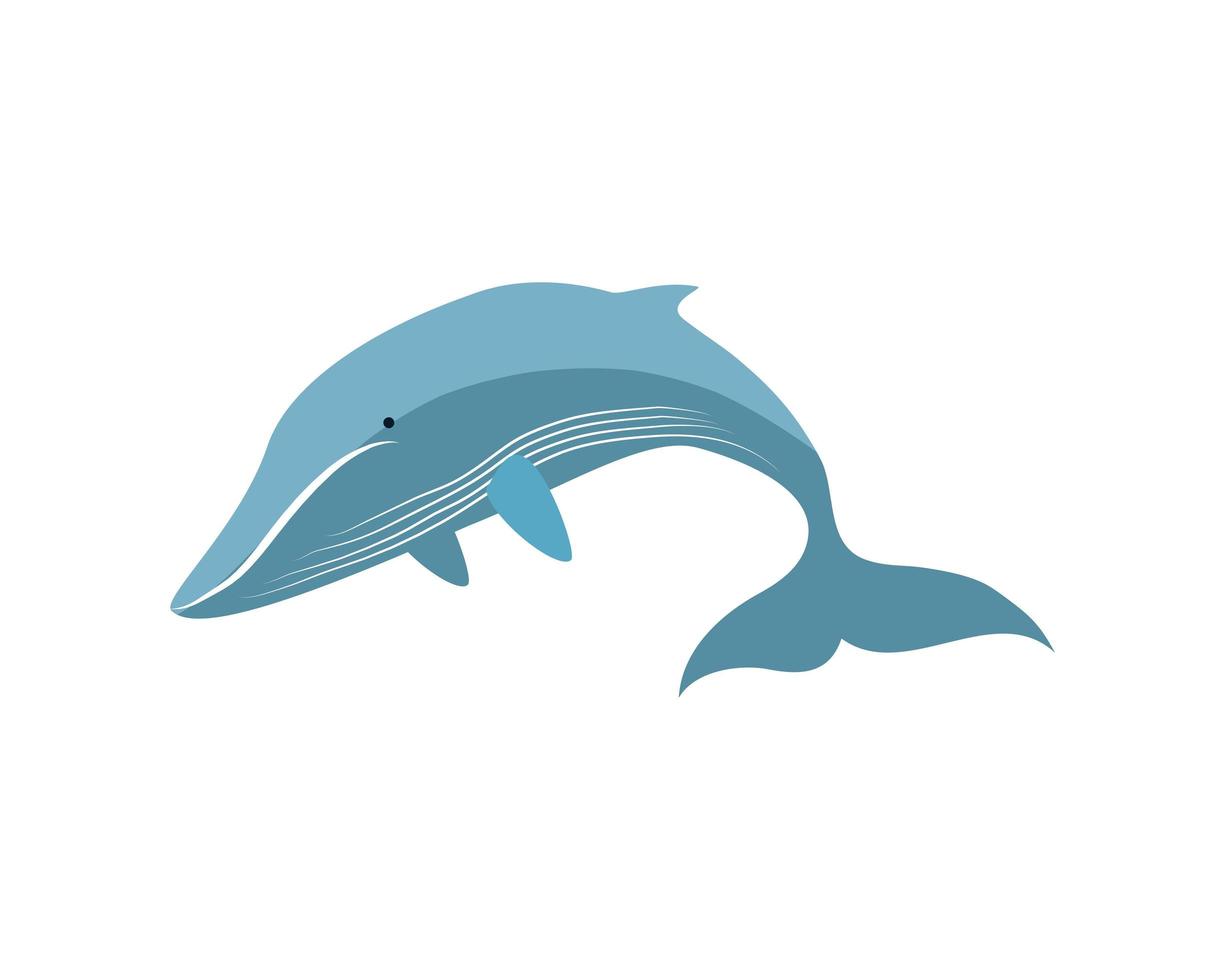 whale under the sea vector