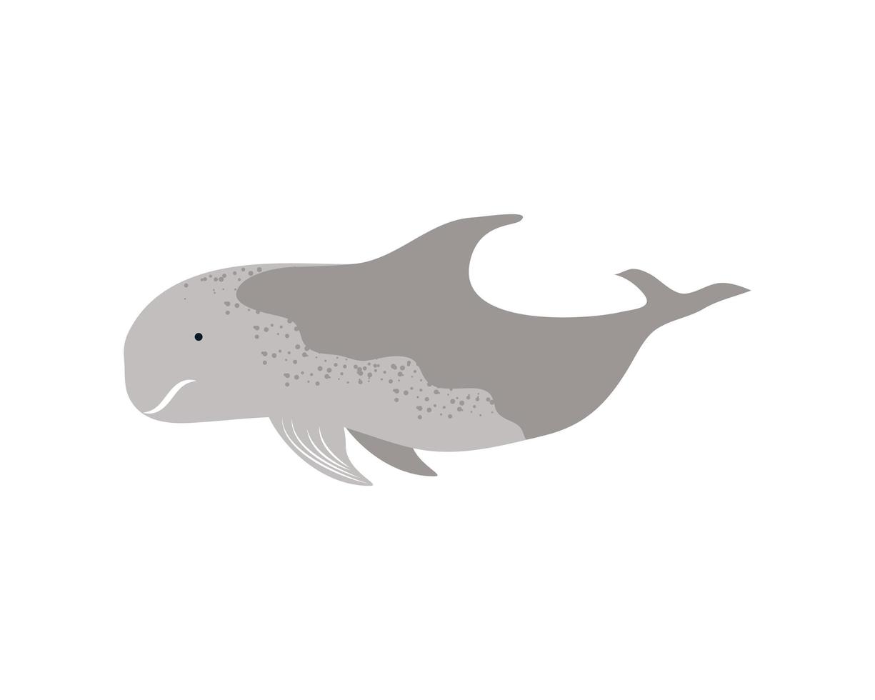 whale animal icon vector