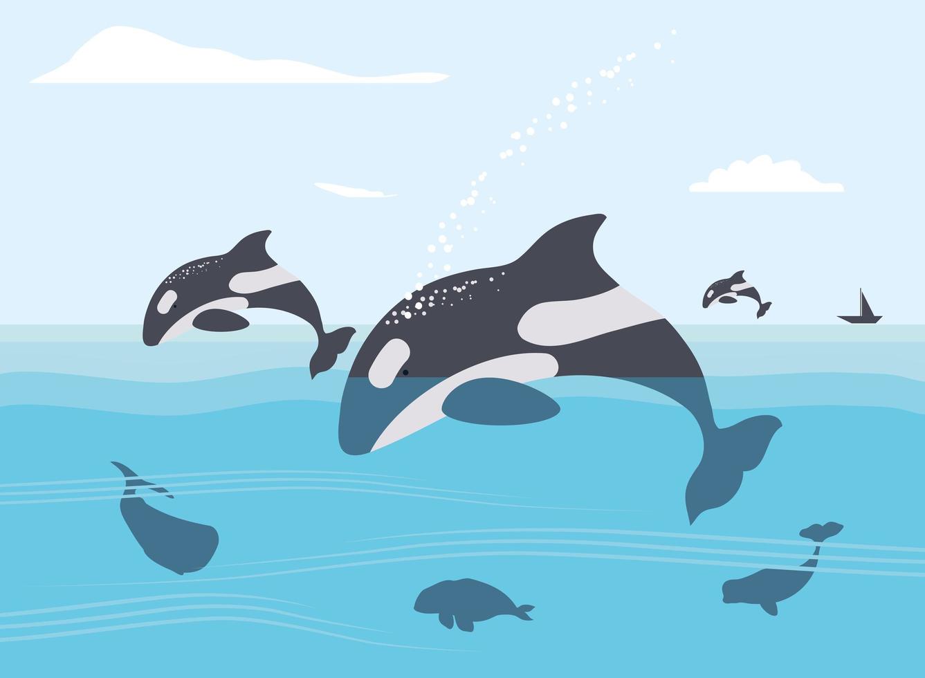 jumping killer whales vector