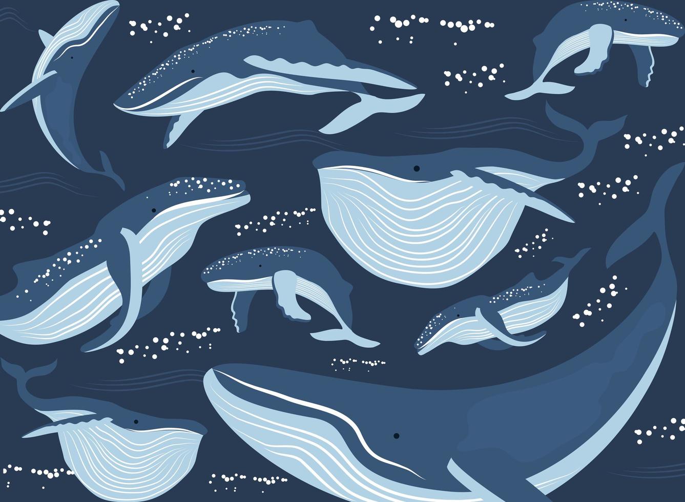 whales under the sea vector