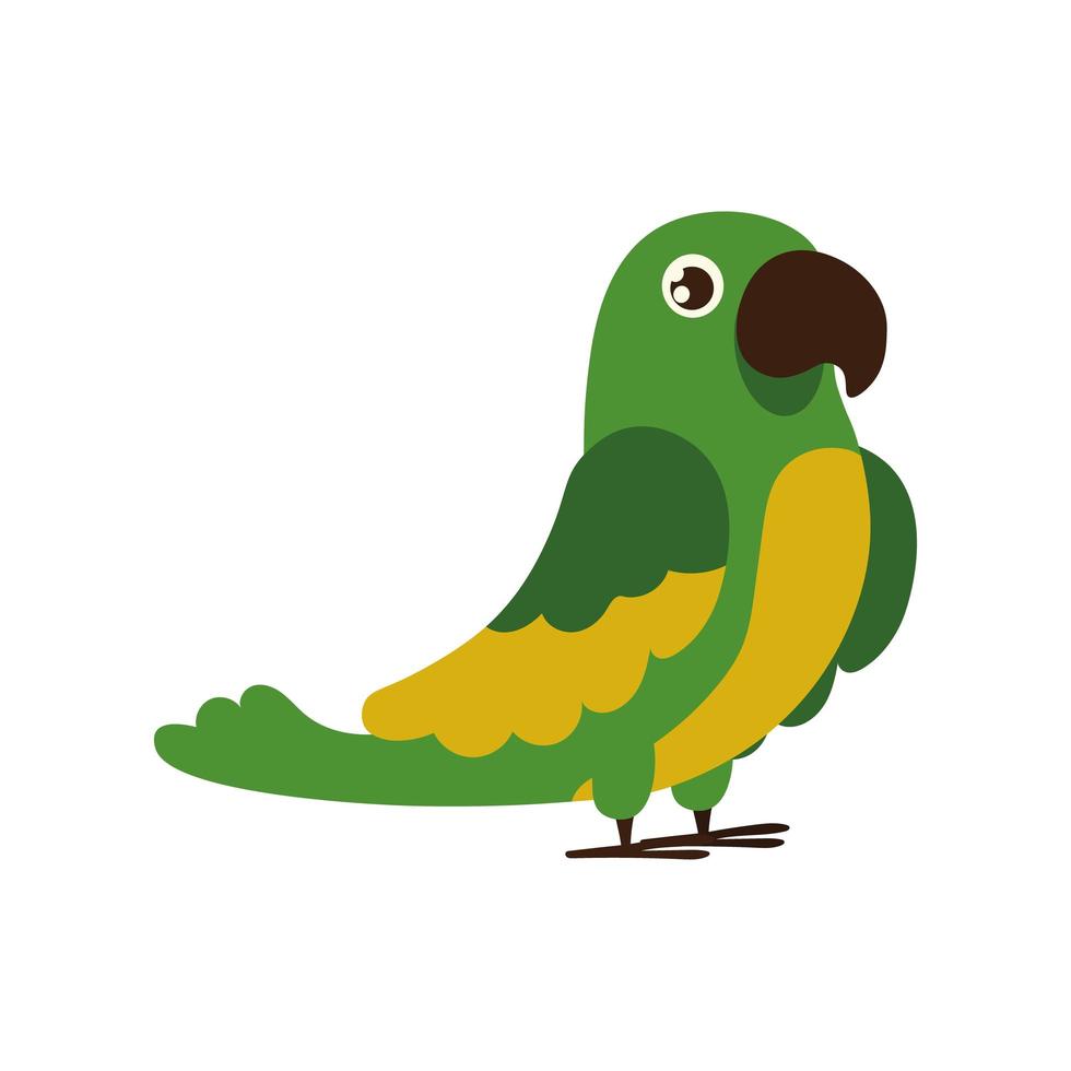 cute parrot bird vector