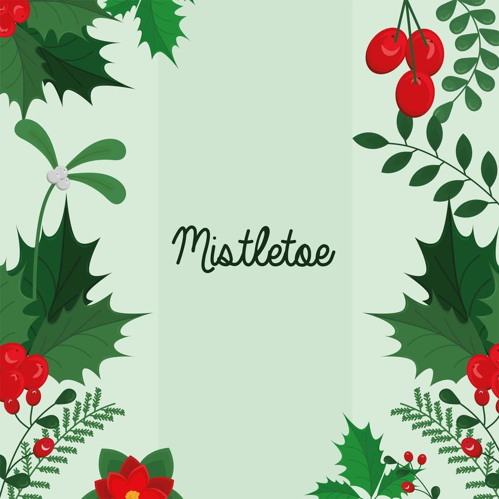 mistletoe christmas decoration vector