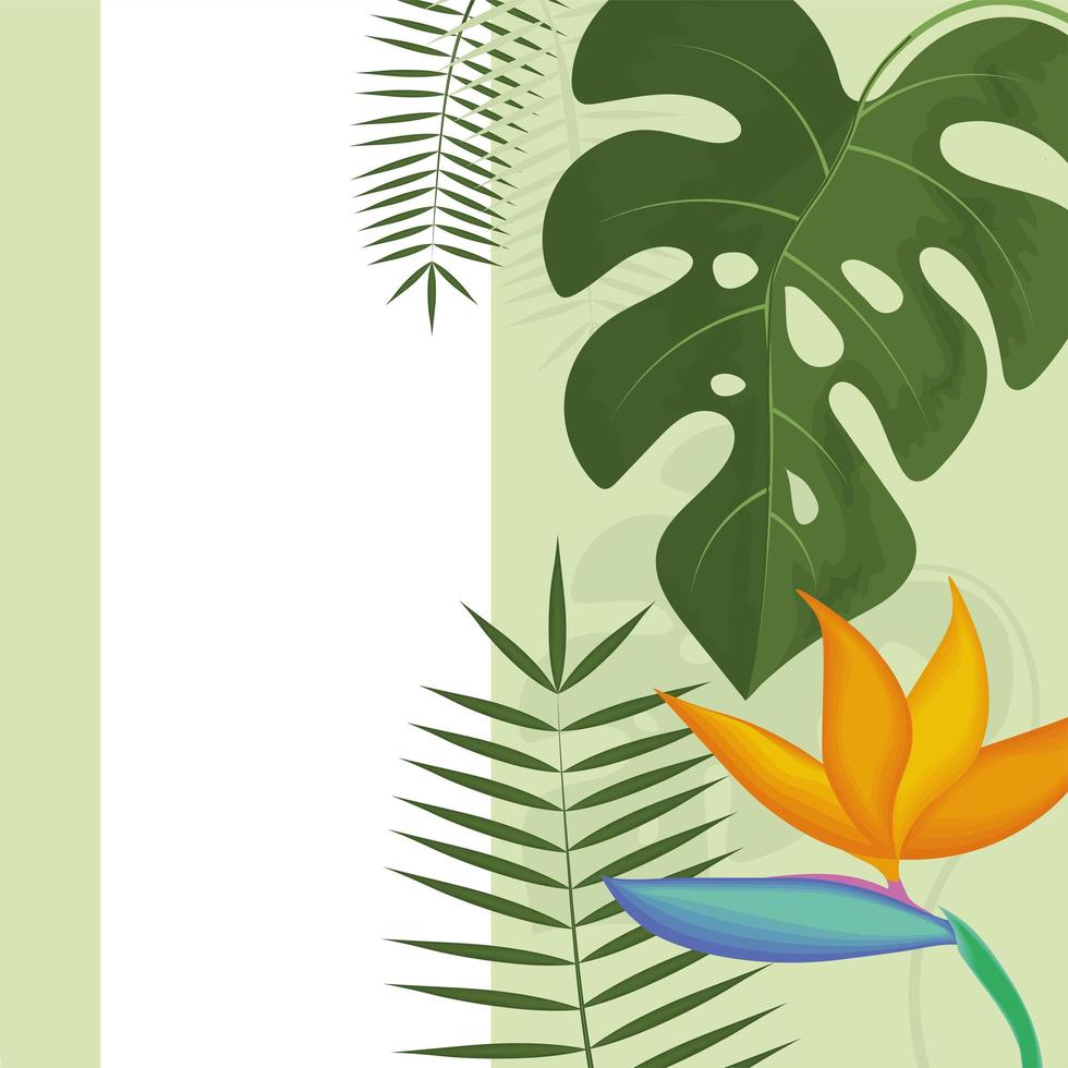 tropical exotic leaves vector