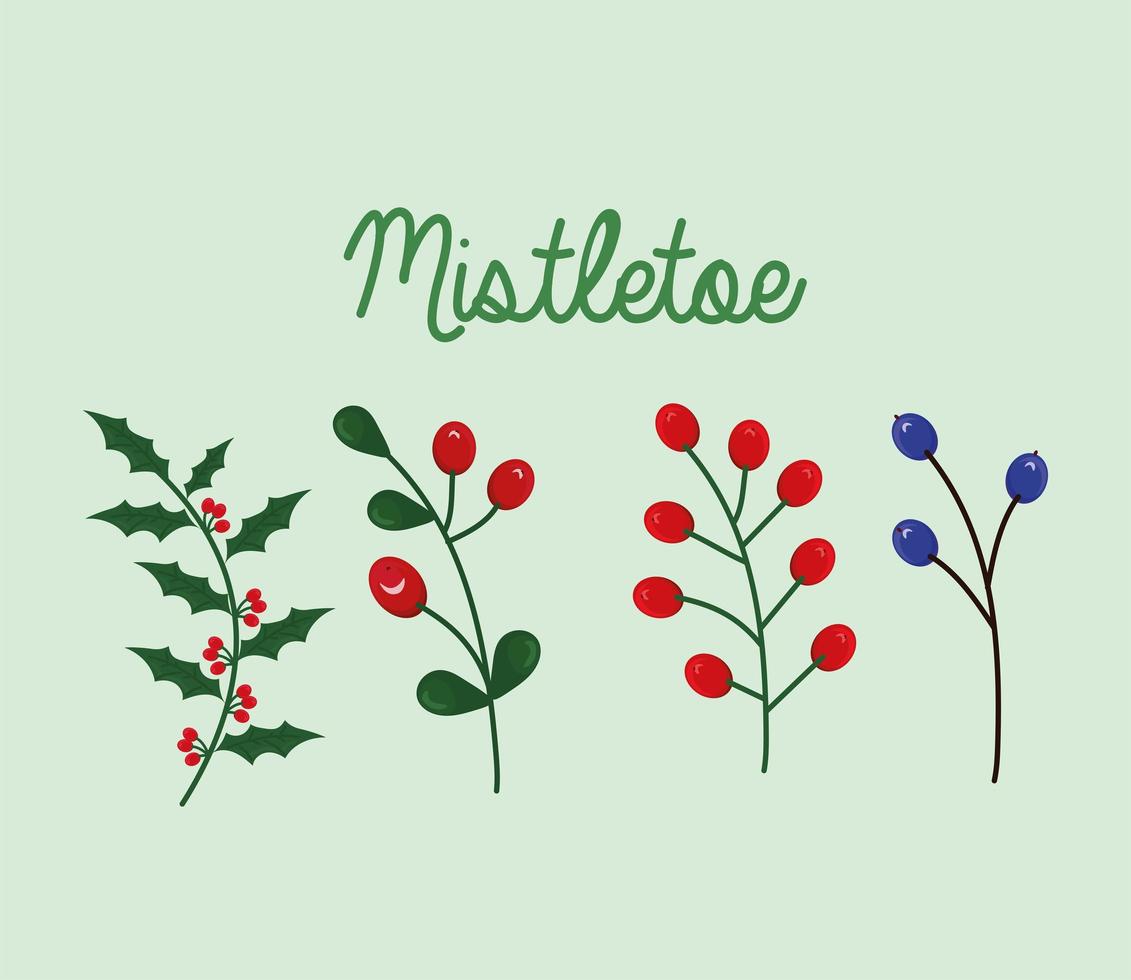 mistletoe branches icons vector