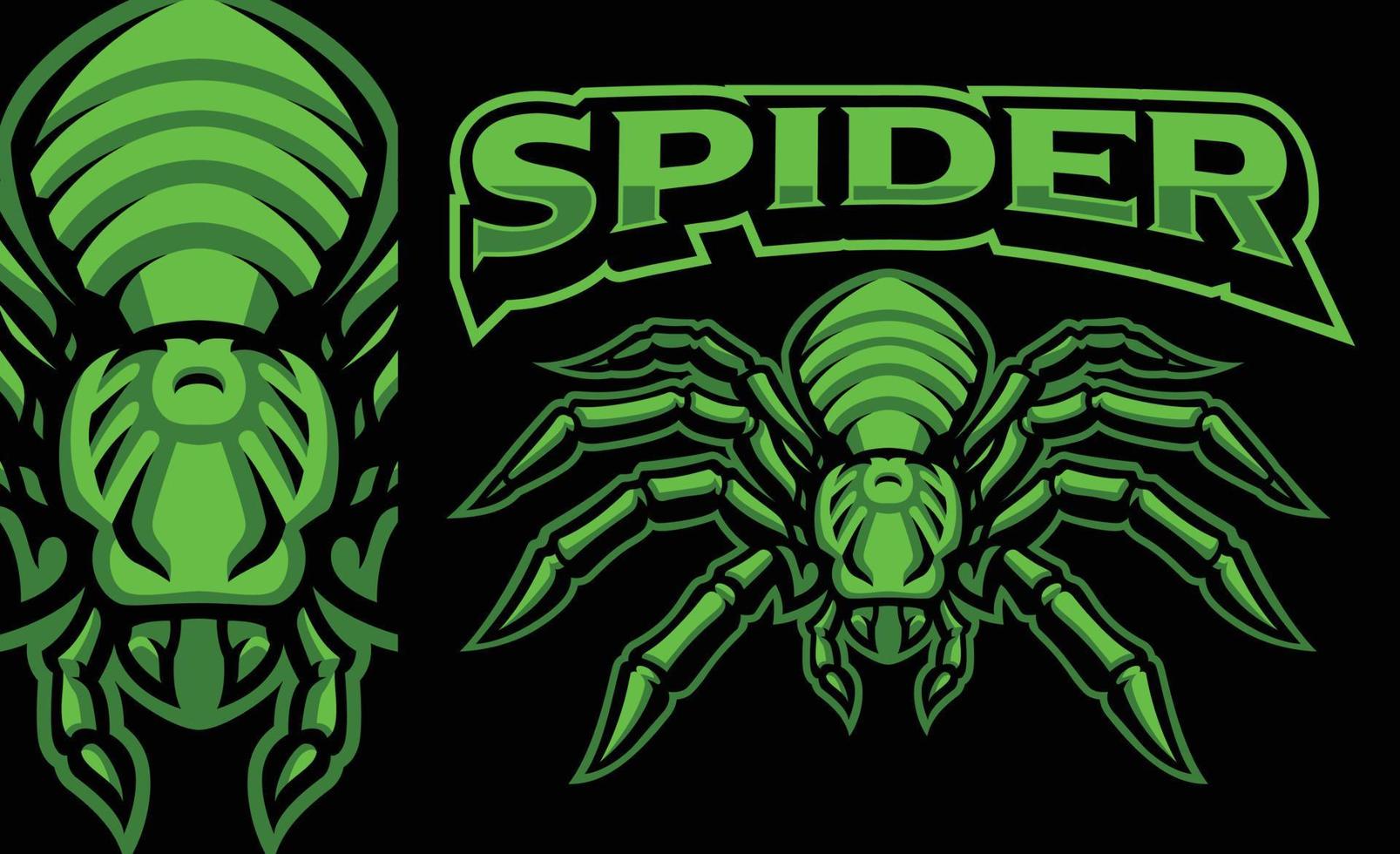 Spider mascot badge vector