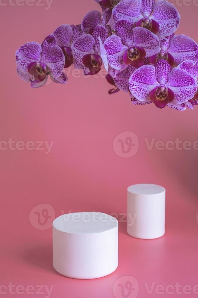 concepto para la creación de marcas, así como para la creación de una identidad corporativa en la pasarela con una orquídea sobre fondo rosa. foto
