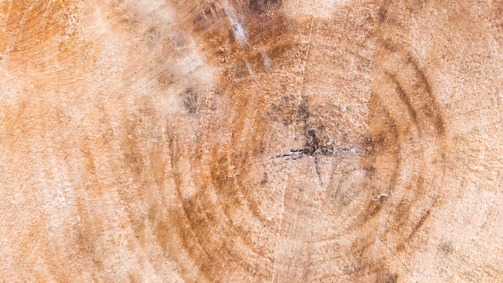 Vista en sección de una textura de madera vieja foto