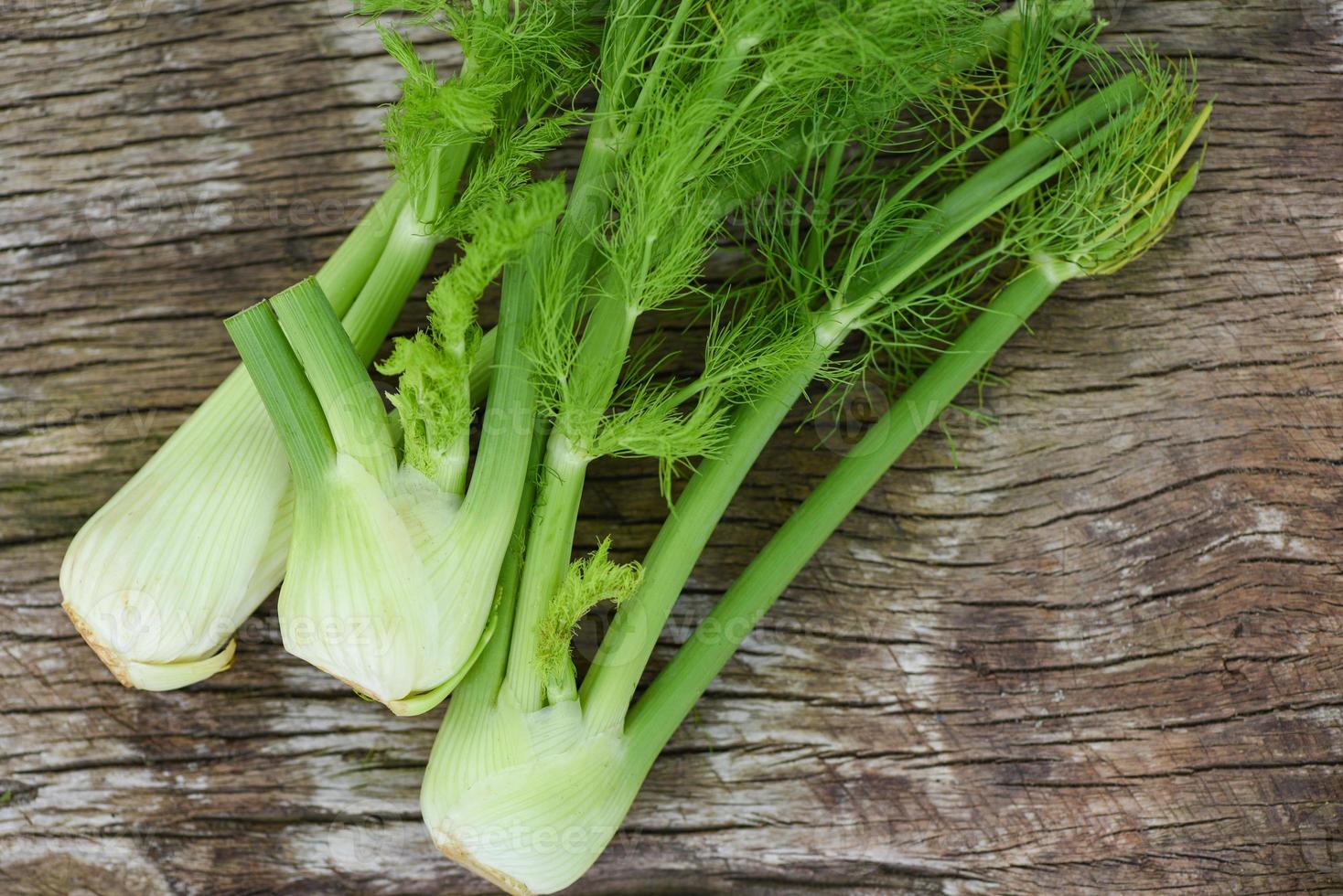 Hinojo vegetal del jardín, bulbos de hinojo crudo fresco listo para cocinar sobre fondo de cocina de madera de alimentos. foto