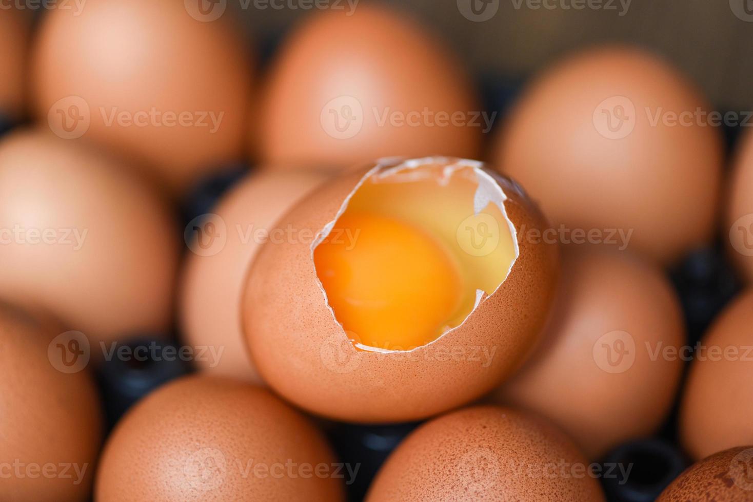 Los huevos de gallina se recolectan de productos agrícolas concepto de alimentación saludable natural yema de huevo roto fresco. foto