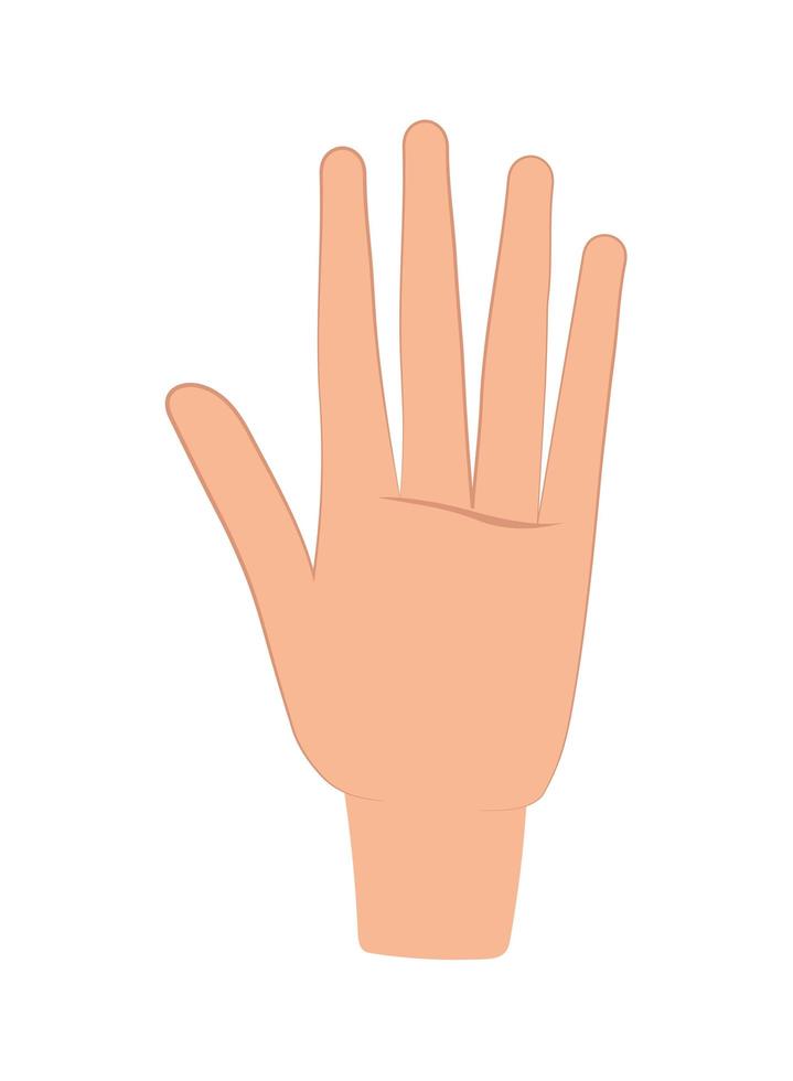 open hand palm vector