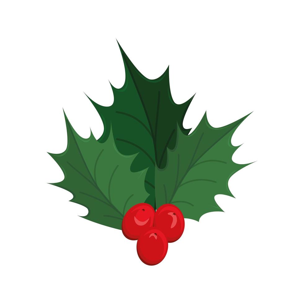 christmas mistletoe decoration vector