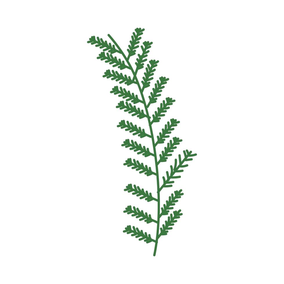 nature leaves botanical vector