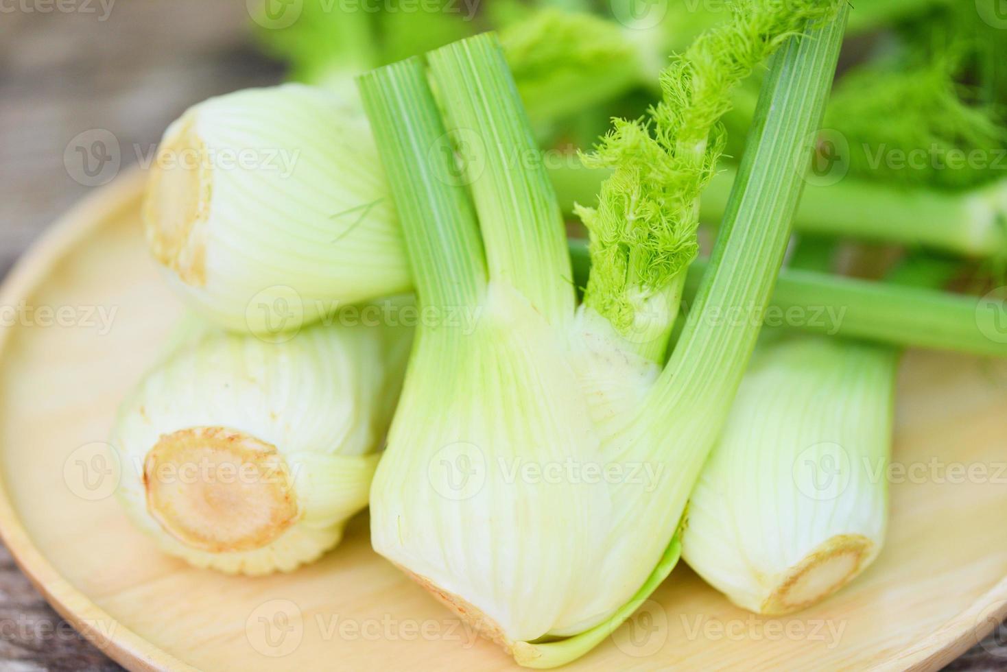 Fennel vegetable from the garden , Fresh raw fennel bulbs ready to cook on food wooden nature green background. photo