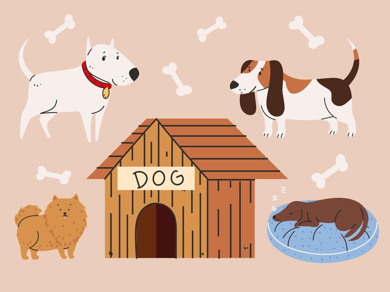 set of pets vector