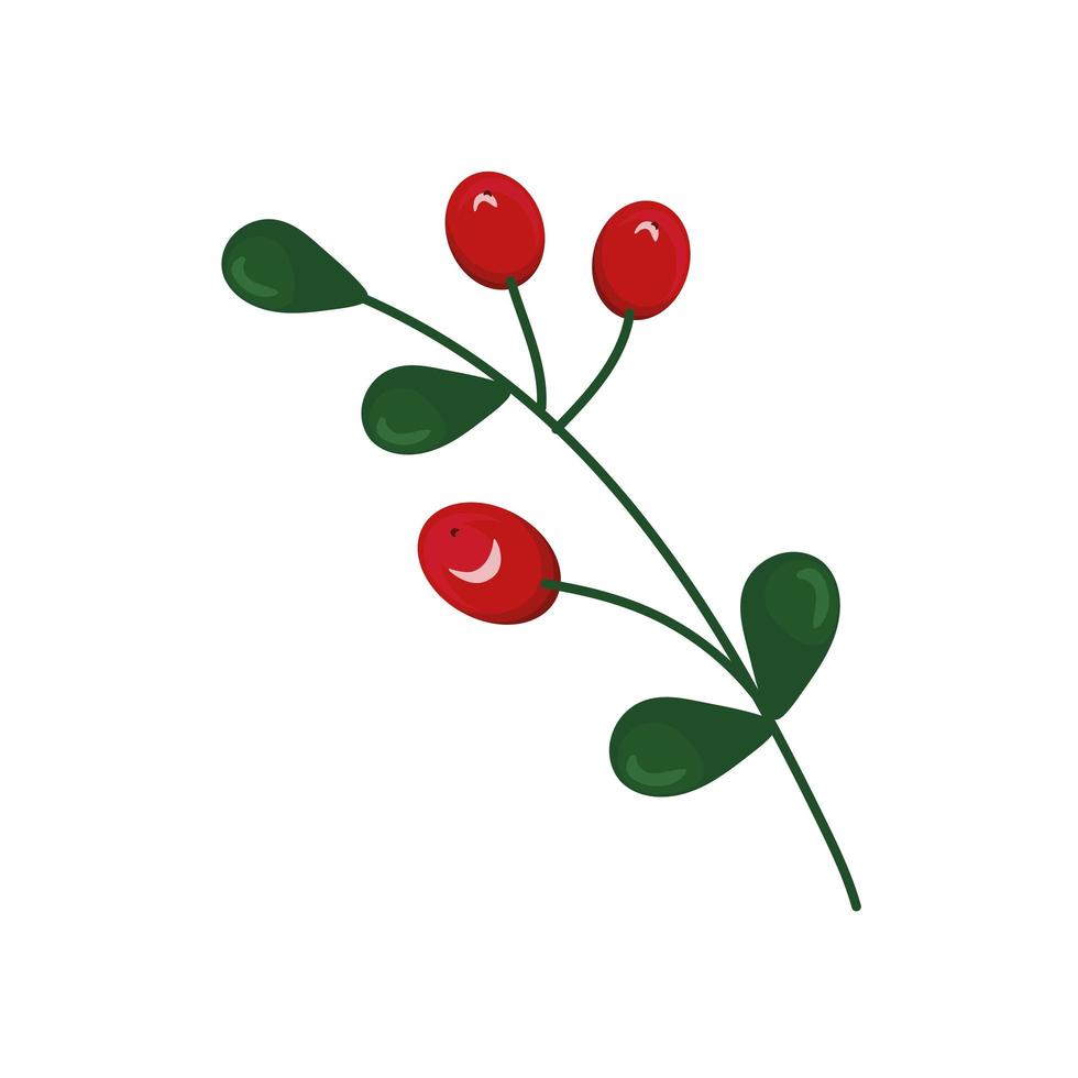 natural leaves and fruits vector