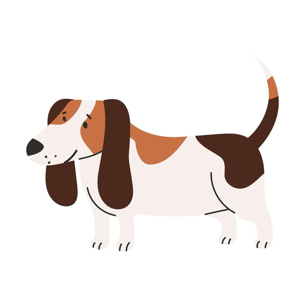perro mascota beagle vector
