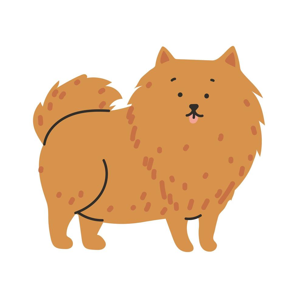 fluffy dog pet vector