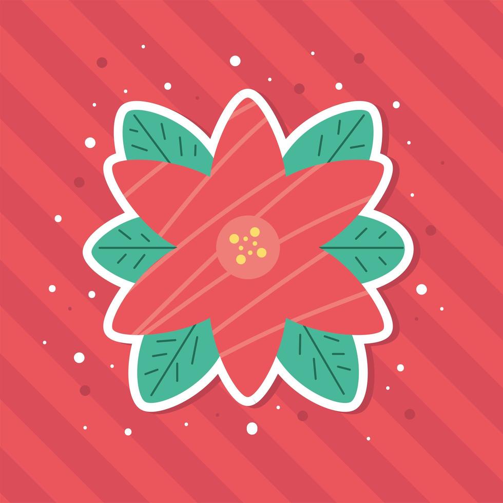 flower poinsettia decoration vector