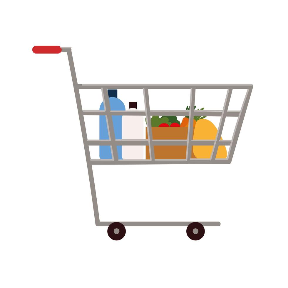 shopping cart supermarket vector