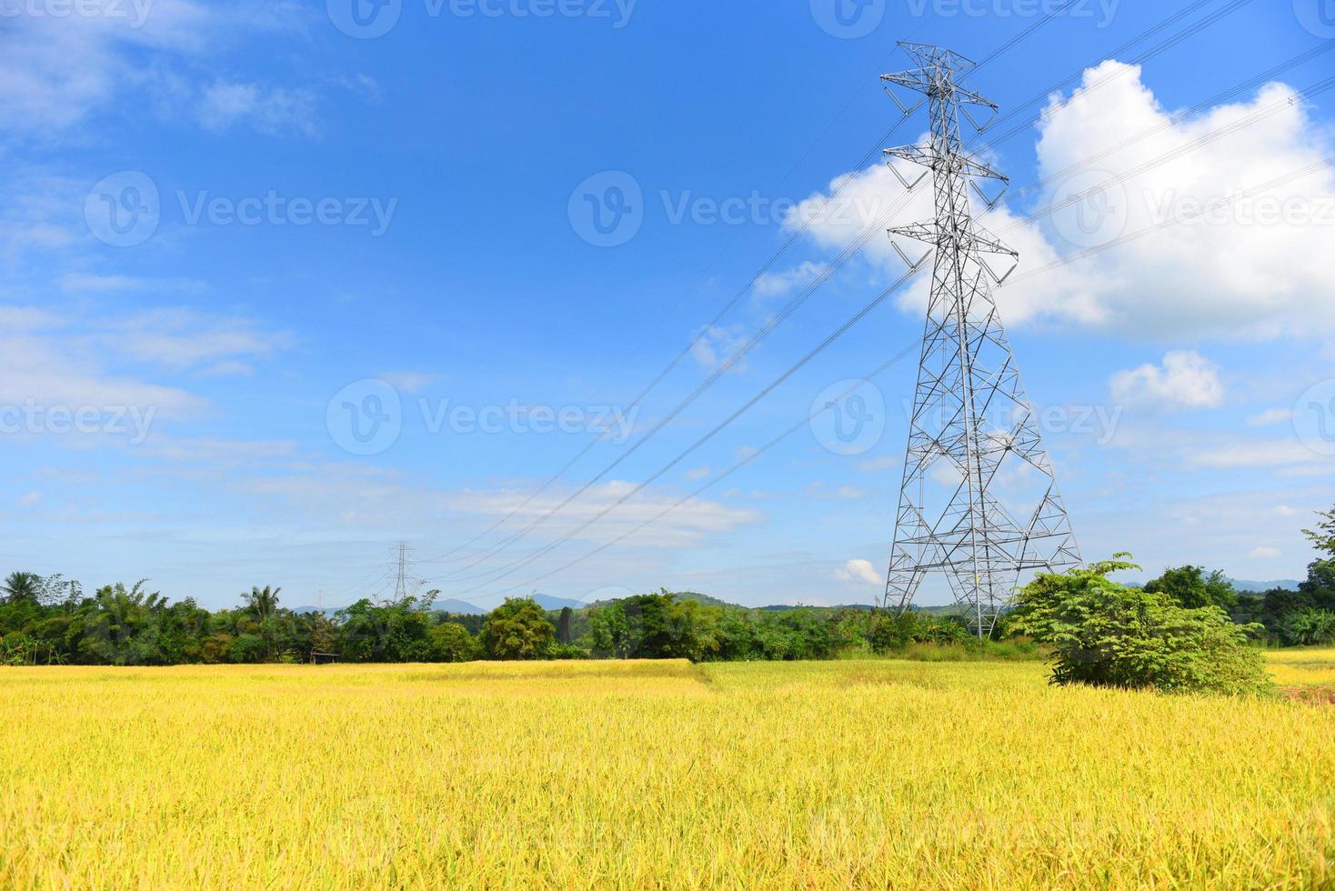 High voltage post, High voltage tower blue sky background, Electricity poles and electric power transmission lines against countryside with yellow rice field photo