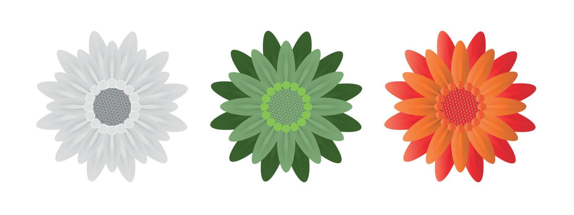 Abstract Flowers on White Background. Vector Illustration.