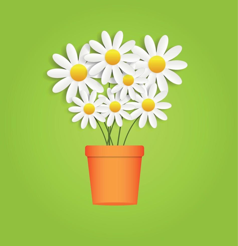 Flora Daisyl Design Vector Illustartion