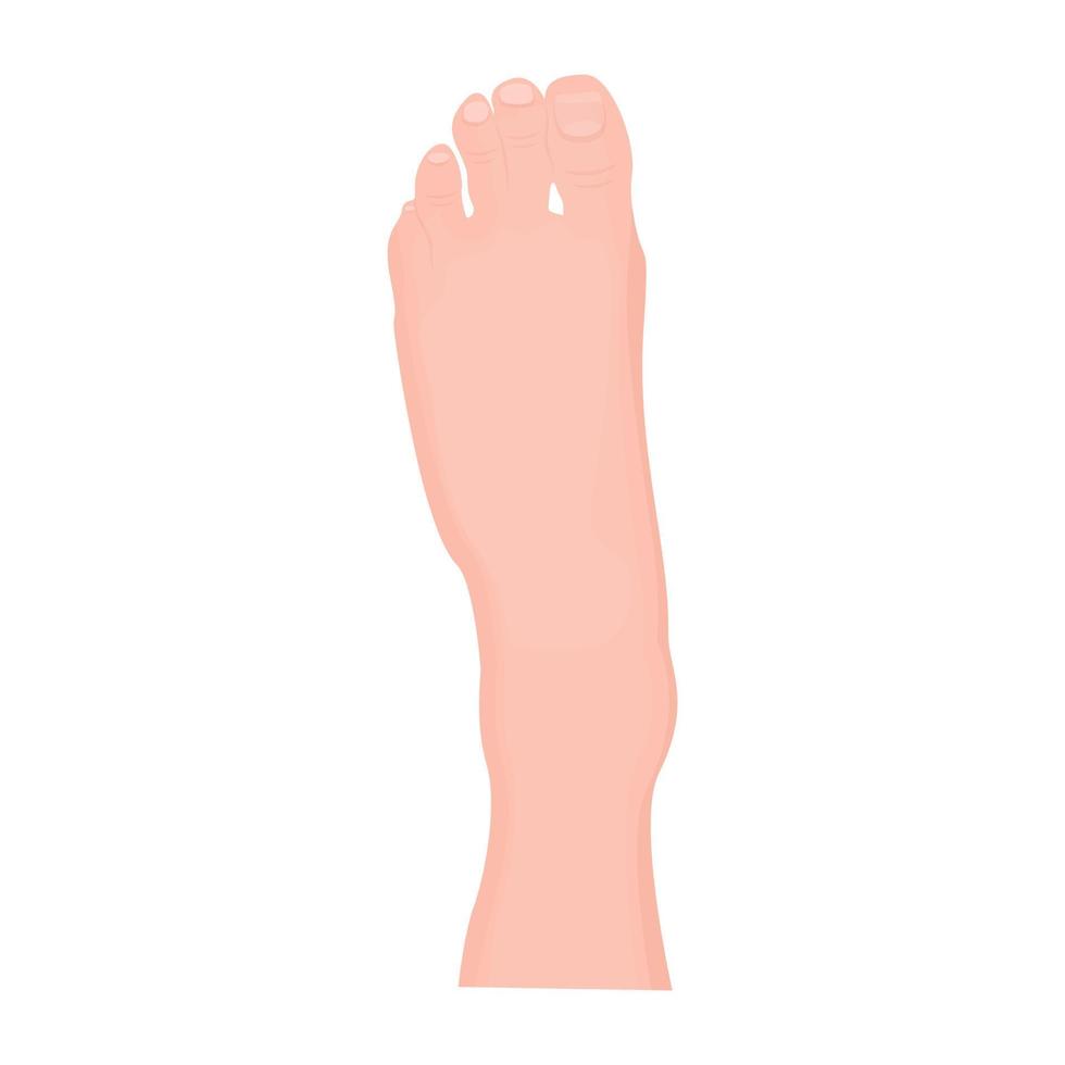 Lateral Foot Concepts vector