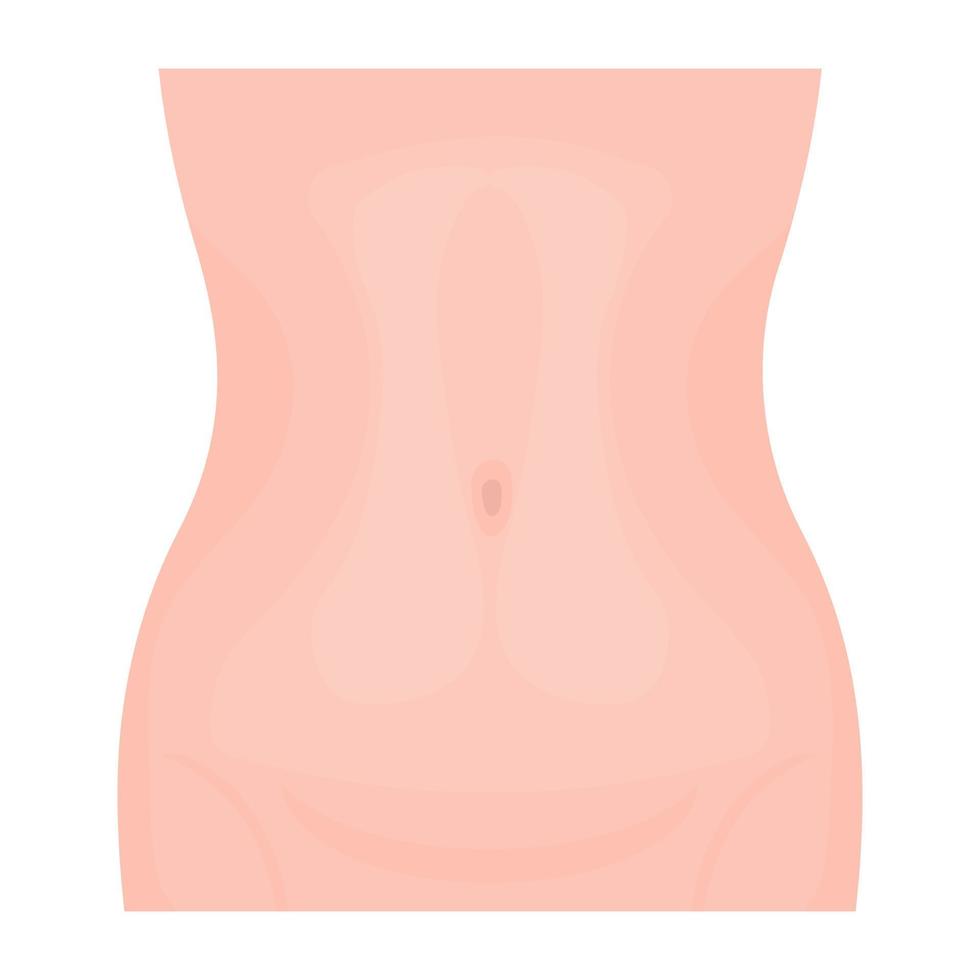 Trendy Abdomen Concepts vector