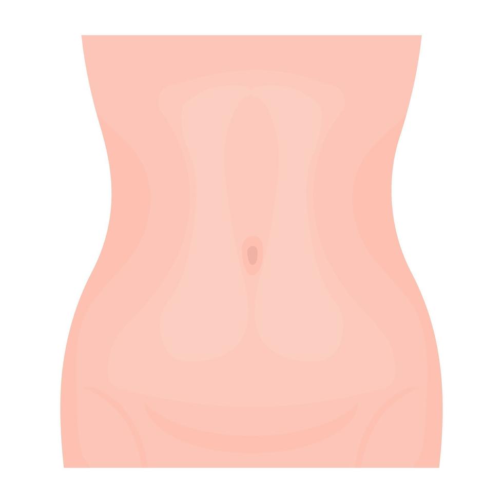 conceptos de abdomen de moda vector