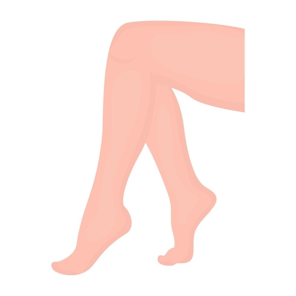 conceptos de piernas de moda vector