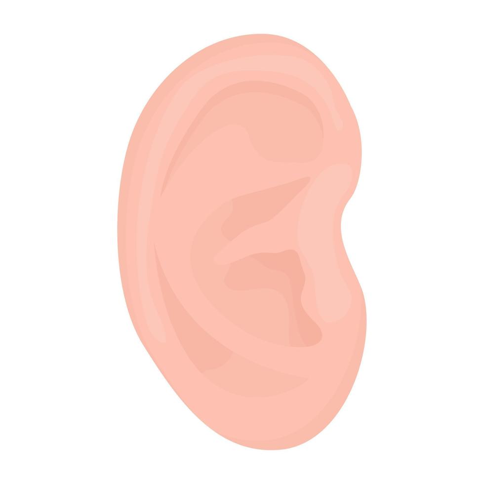 conceptos de oído de moda vector