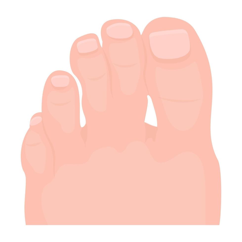 Trendy Toes Concepts vector