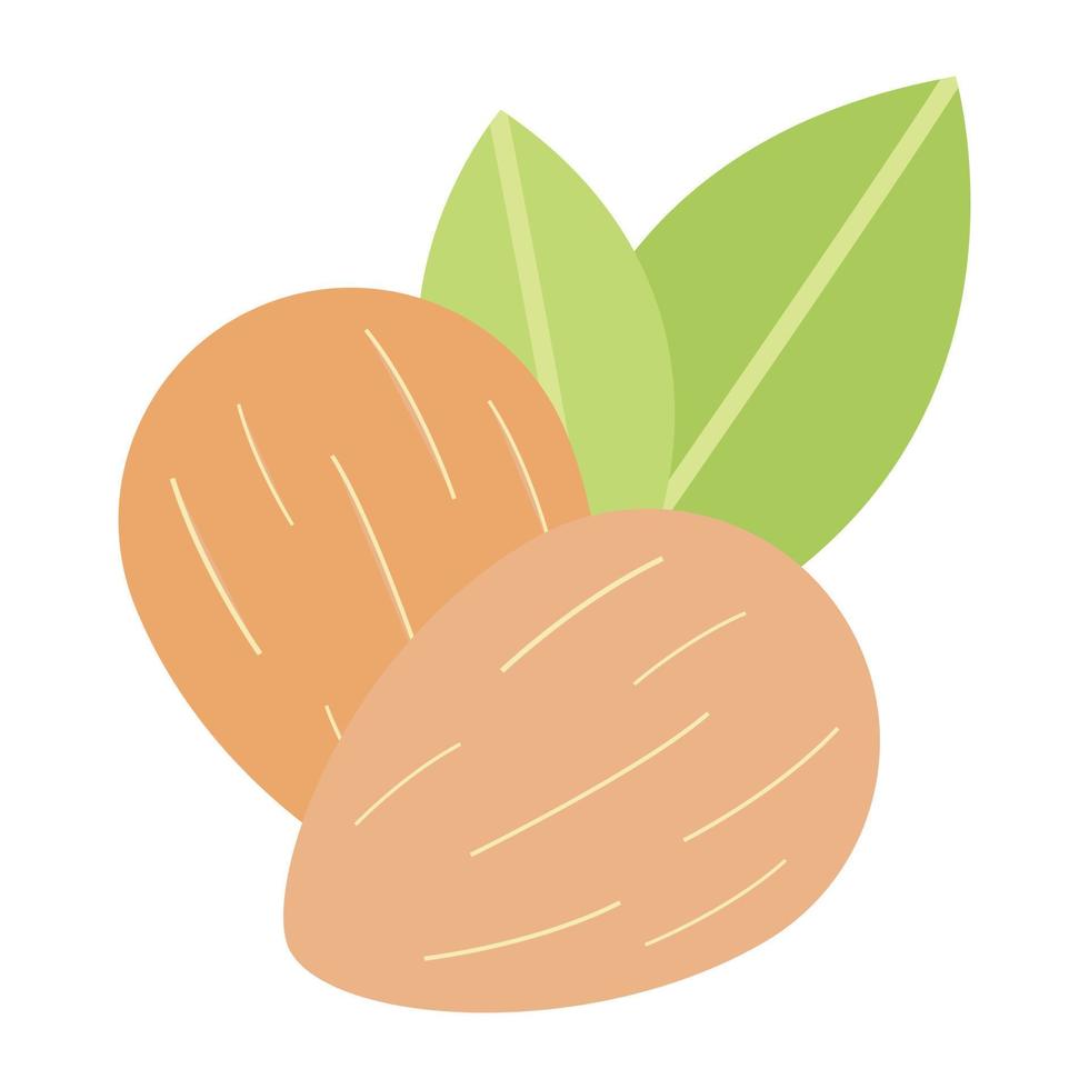 Trendy Almond Concepts vector