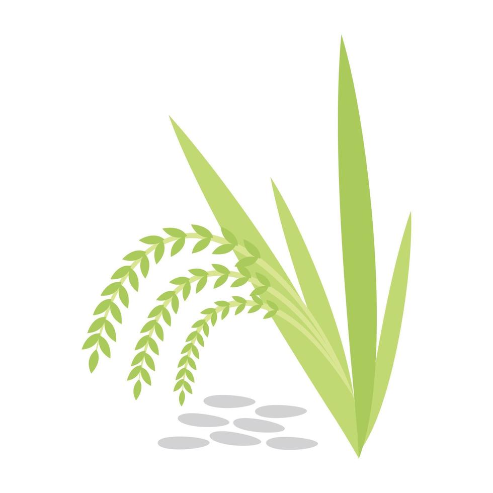 Green Barley Concepts vector