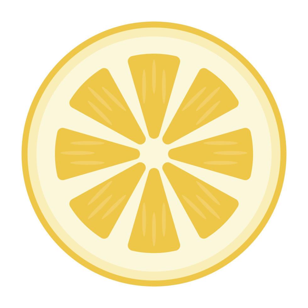 Valencia Orange Concepts vector