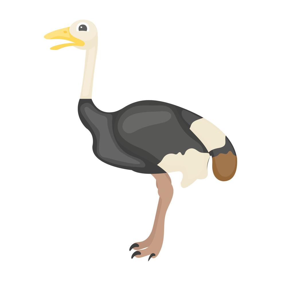 Trendy Ostrich Concepts vector