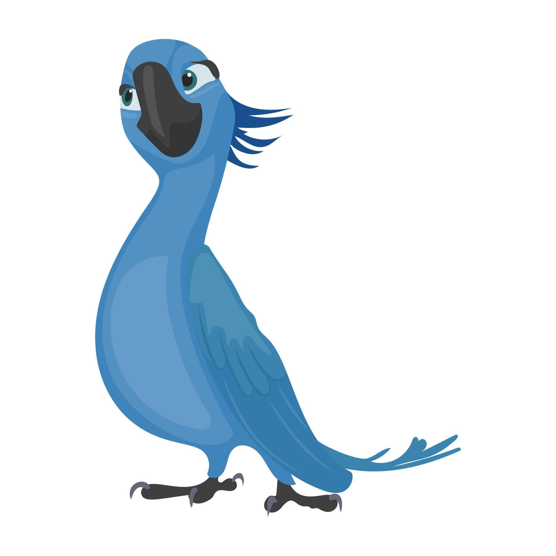 Blue Jay Concepts 4635512 Vector Art at Vecteezy