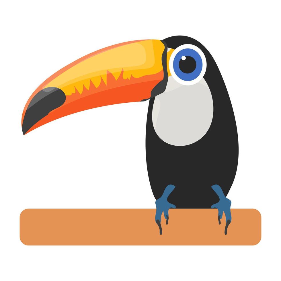 Toco Toucan Concepts vector