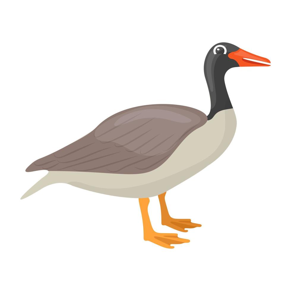 Canadian Goose Concepts vector