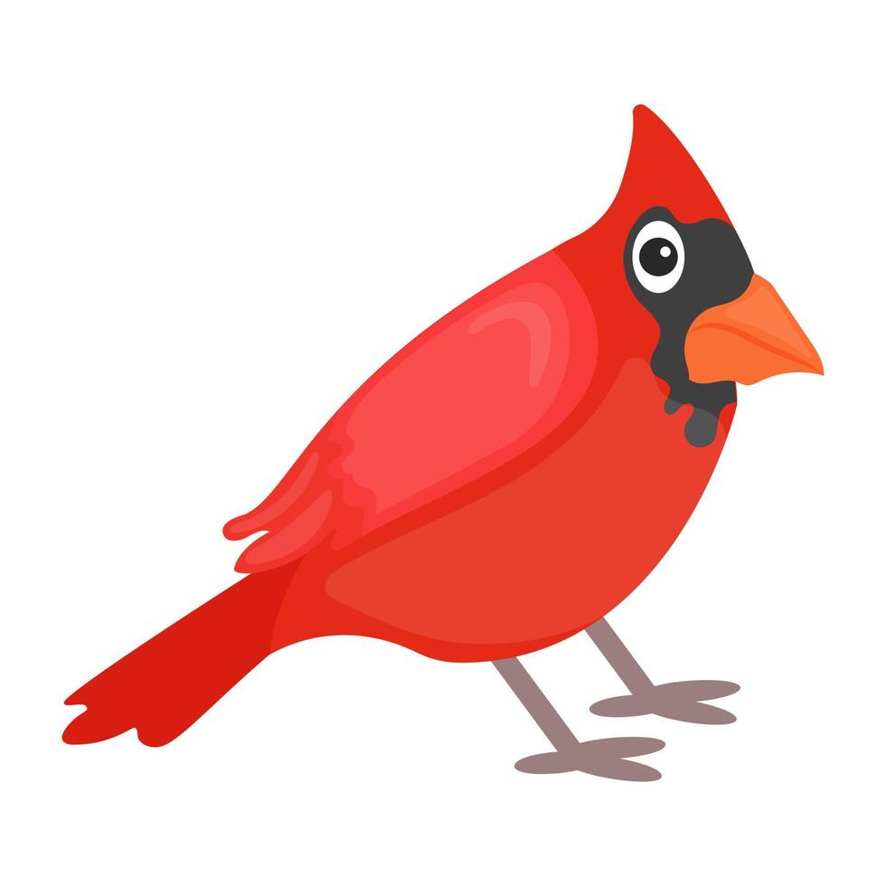 conceptos de pájaro cardenal vector