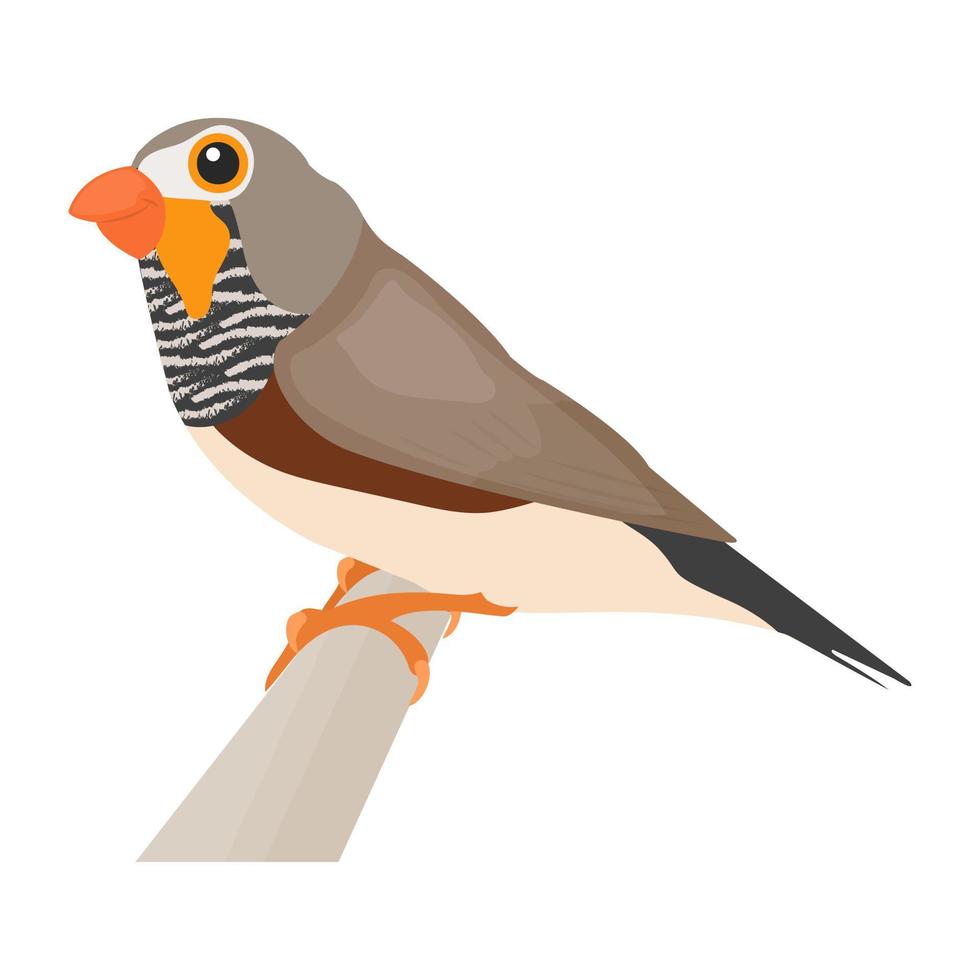 Trendy Sparrow Concepts vector