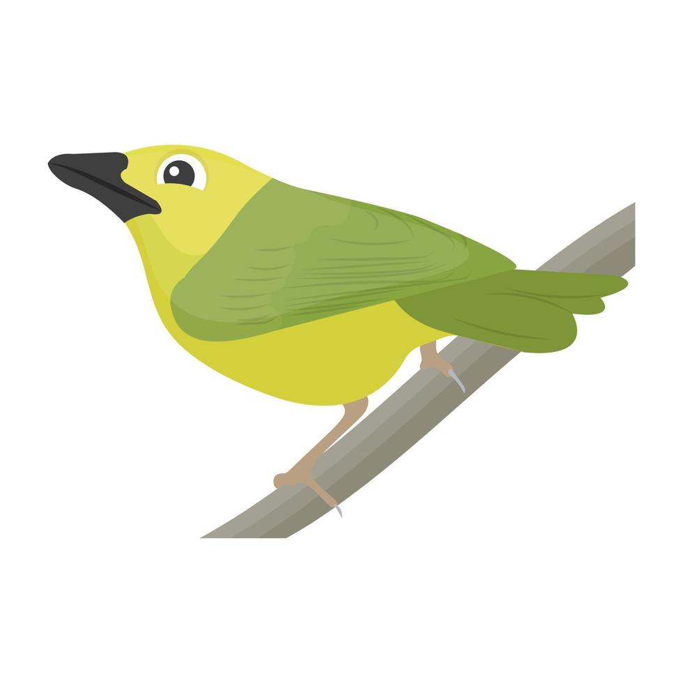 Trendy Parrot Concepts vector