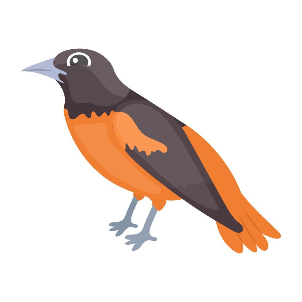 Eurasian Finch Concepts vector