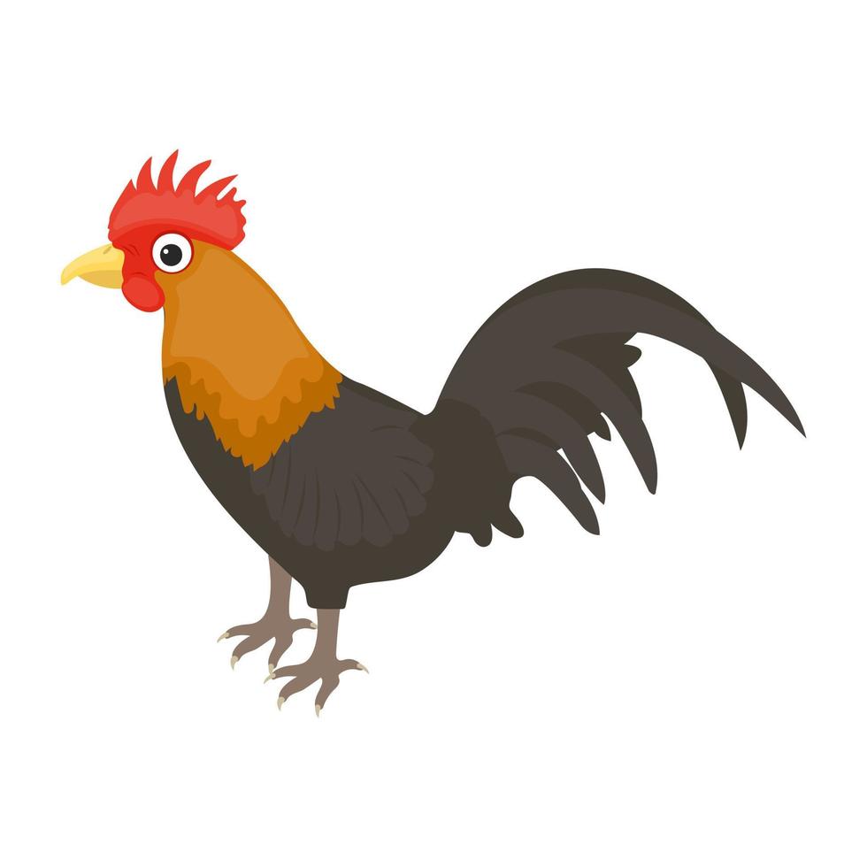 Trendy Cock Concepts vector