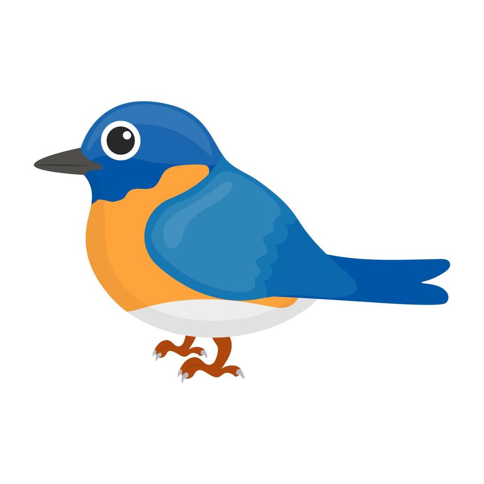 Blue Sparrow Concepts vector