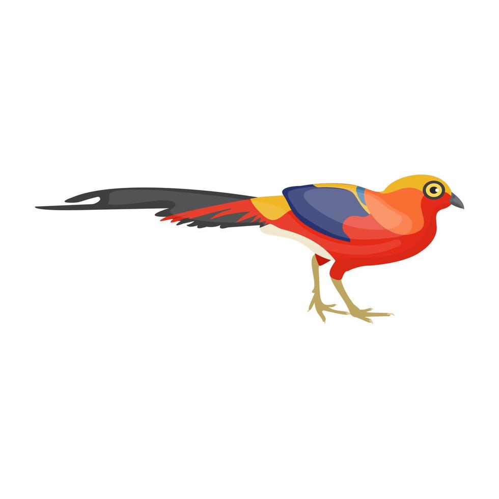 conceptos de guacamaya roja vector