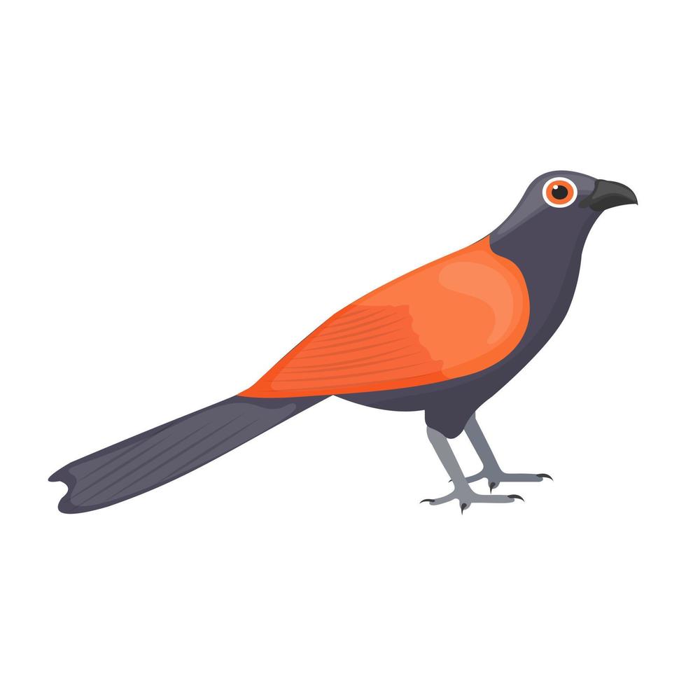 Eurasian Finch Concepts vector