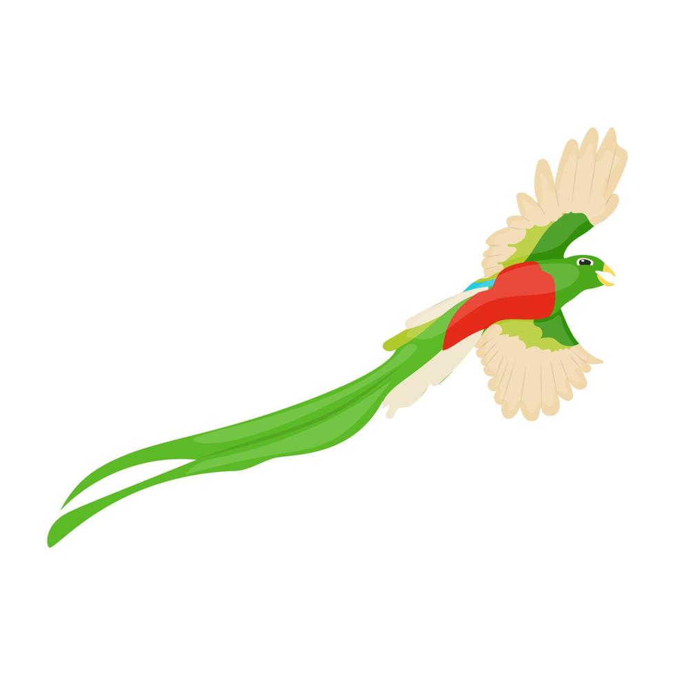 conceptos de guacamaya roja vector