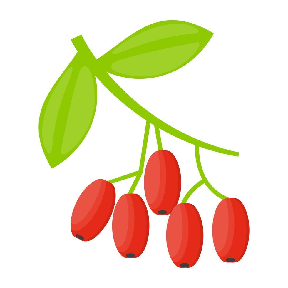 Trendy Cranberry Concepts vector