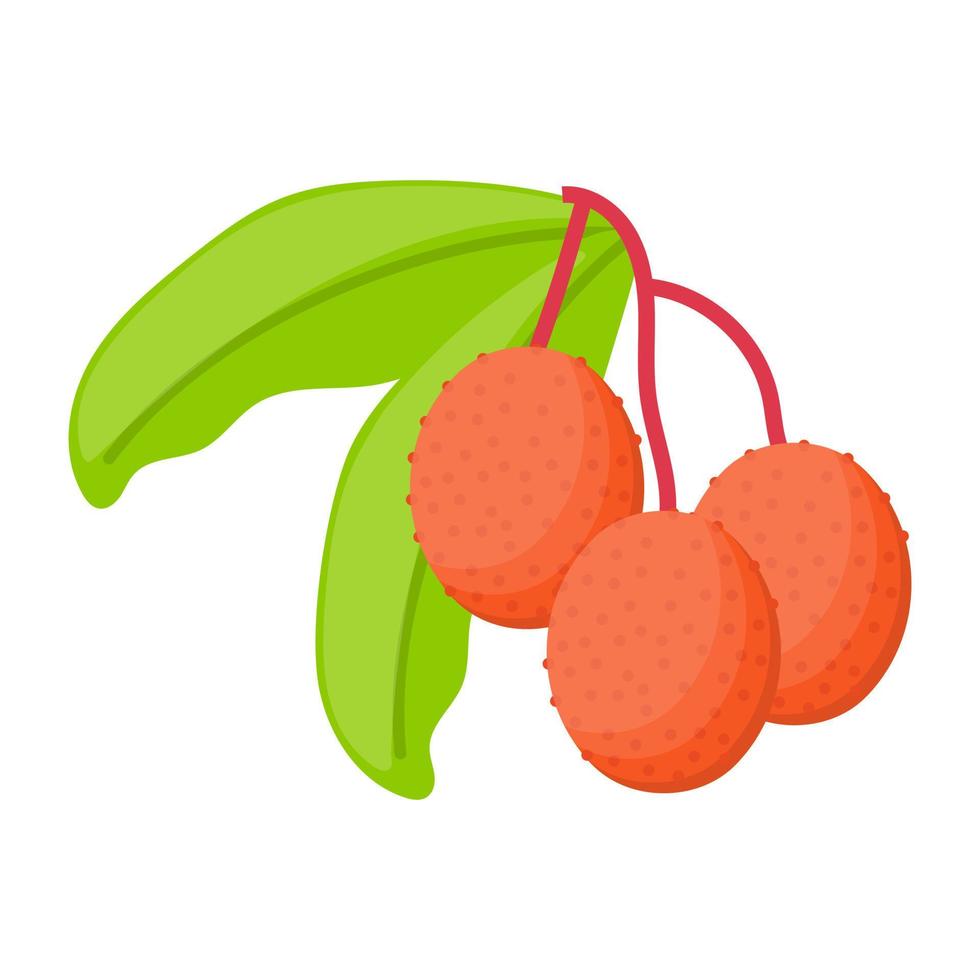 Trendy Lychee Concepts vector